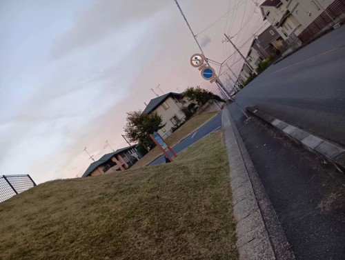 本日の園外保育deハロウィンパーティーについて🎃