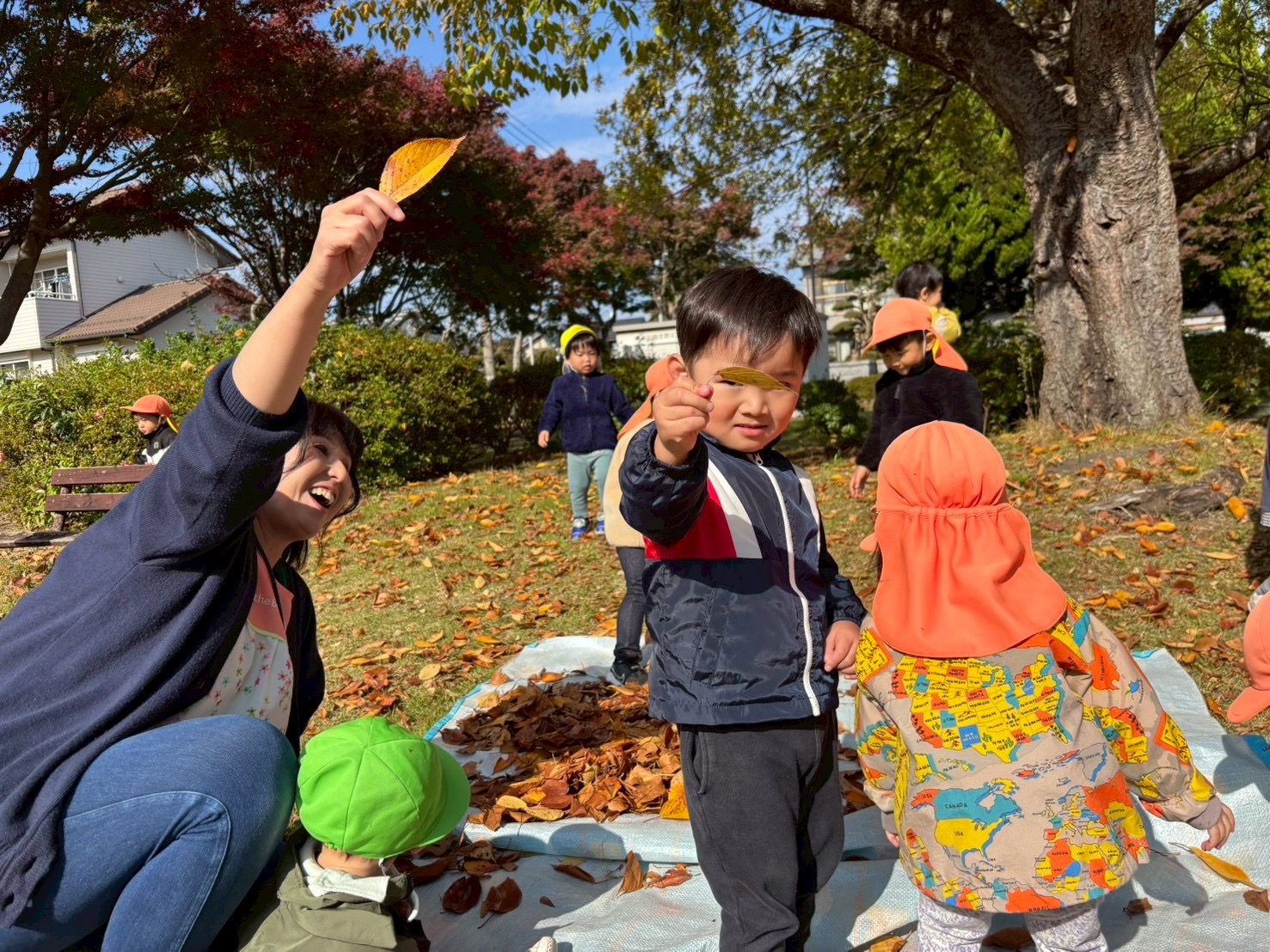 黄色い葉っぱあったよ！