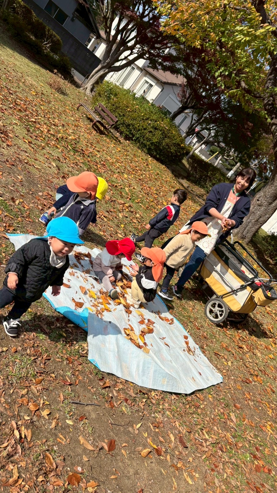 葉っぱ　集めてみよ〜！