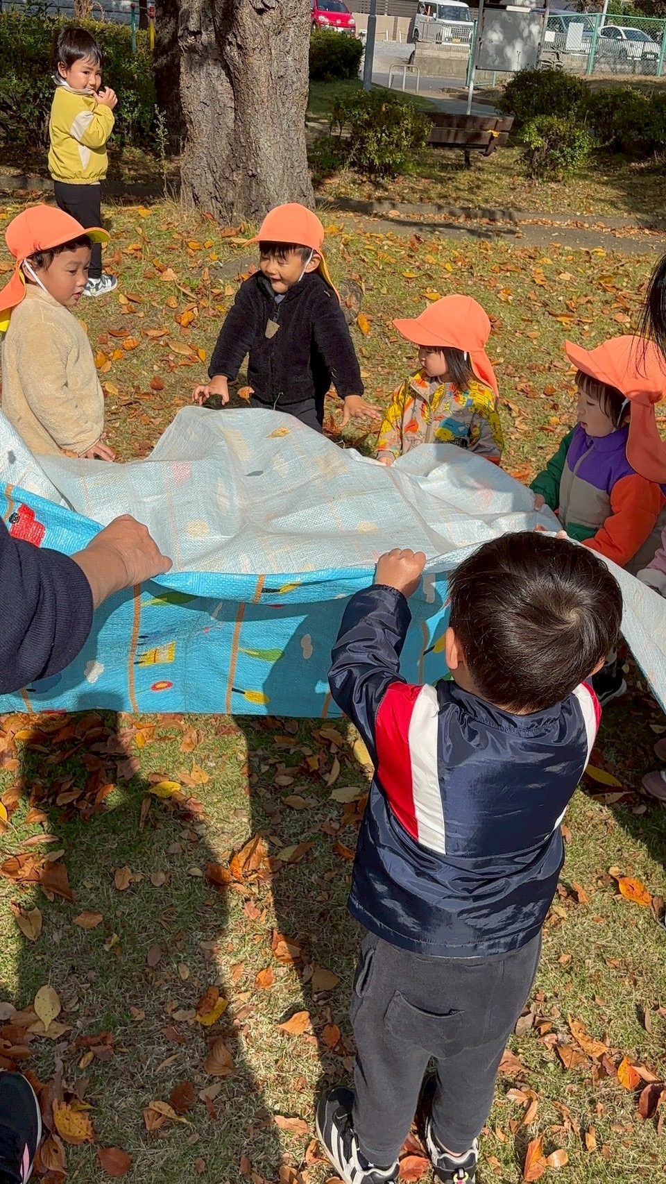 せーの！わっしょいワッショイ！