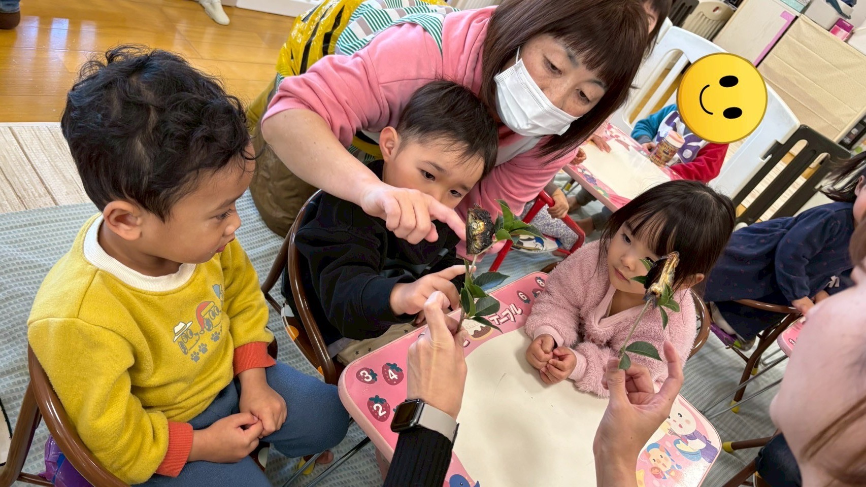 葉っぱはどんな感じかな？